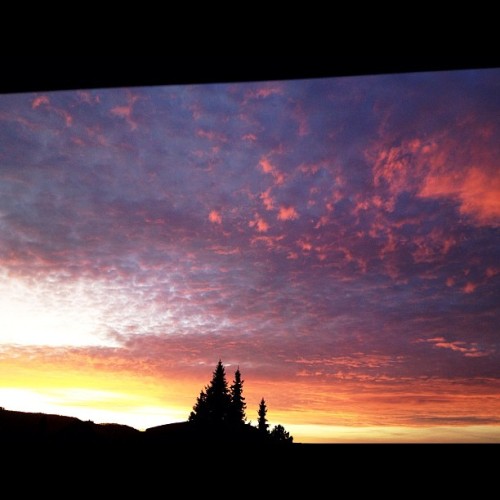 I like sunsets. (Taken with instagram)