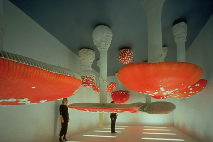 Amanita Muscaria! Carsten Holler