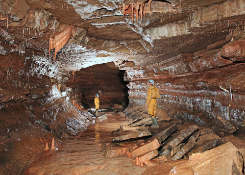 photo by dudley bug on Flickr.Dan yr Ogof is a 17-kilometre long cave system in south Wales, within 