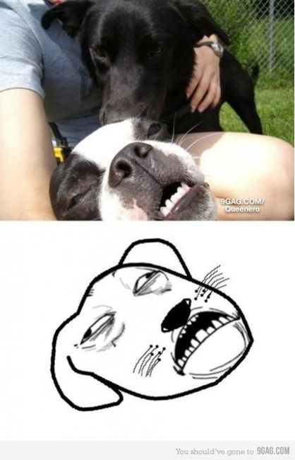 solemnsunshine:  hahaha 
