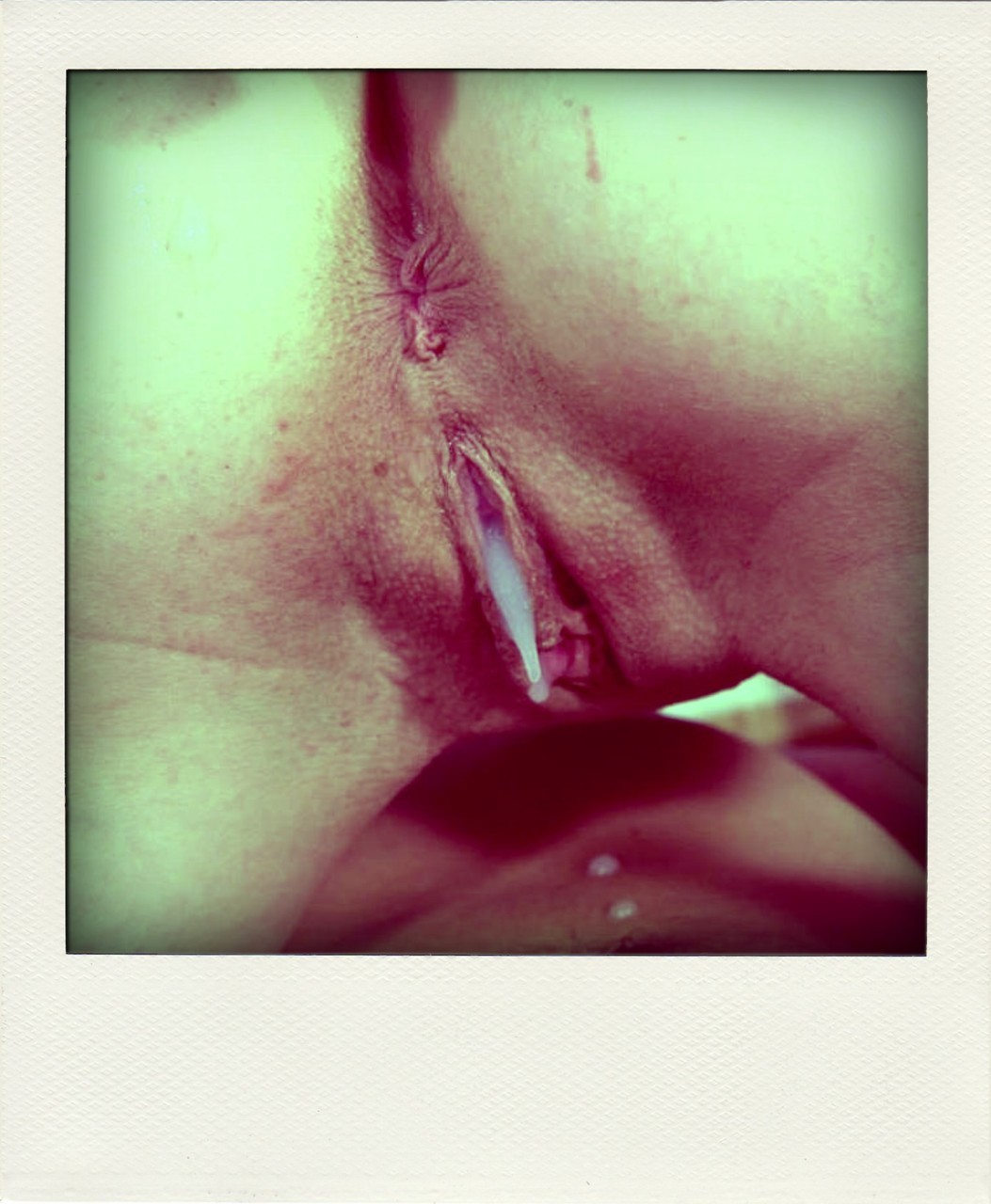 polaroidstyleporn:   Girls who love to swallow loads of of sperm.   