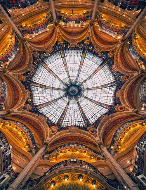coffeestainedcashmere:View from the ground up of the beautiful Galleries Lafayette in Paris by Phili