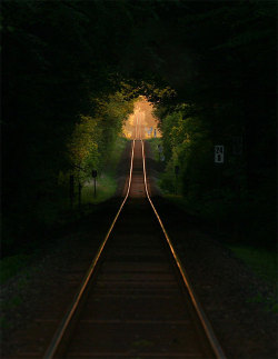 bluepueblo:  Railroad Tree Tunnel, France photo via xtc 