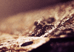 myamericanhorrorstory:   “Once I discovered that he had cheated, Hugo meant no