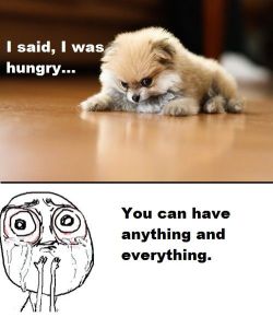 niknak79:  Click here for More funny pics 