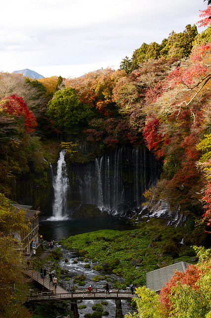 bluepueblo:  Autumn, Shiraito Falls, Fujinomiya, Japan photo via discolor 