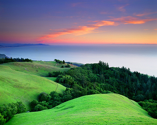 bluepueblo:   Ocean Sunset, Mount Tamalpais State Park, California photo by michael macareavey  