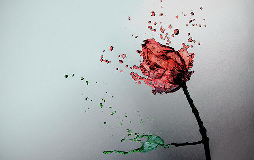 Curiosity killed my innocence