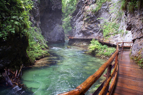 photo by Slybacon on Flickr. Vintgar Gorge is a 1.6 km gorge located near the settlement of Zgornje 
