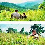 Hunger Games, Catching fire n Monckingjay!