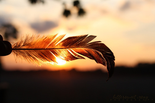 http://weheartit.com/entry/19139005