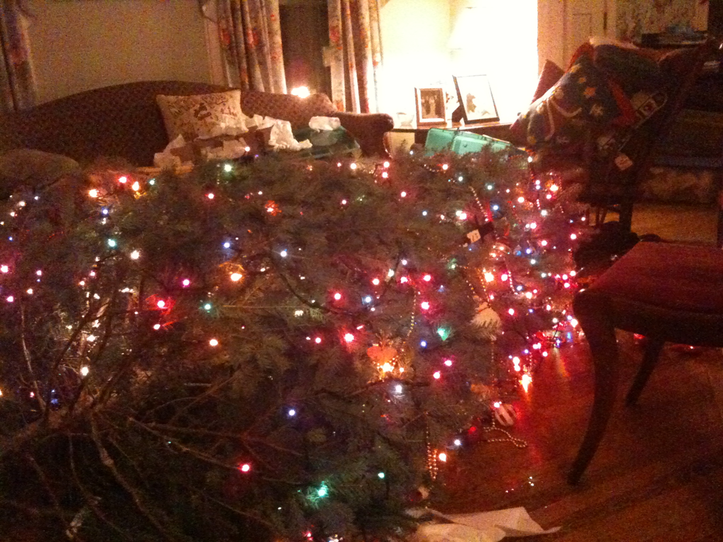 First attempt to put up my family’s tree didn’t go so well.