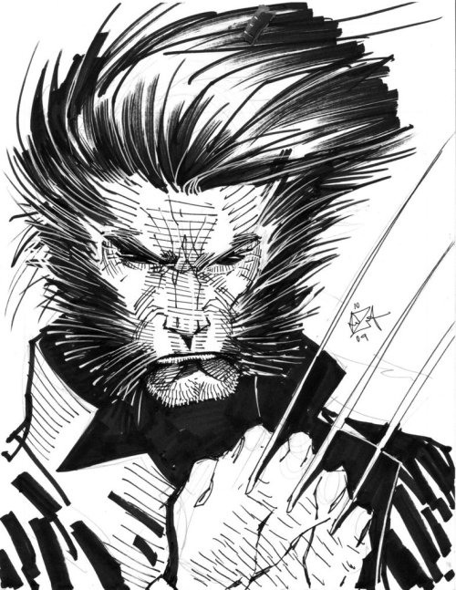 wolverineholic:  by Alex Amezcua 