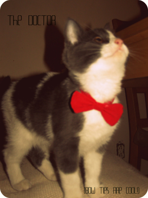 6st-rings-blog-blog-deactivated:  Bow ties are cool ! - The Doctor 