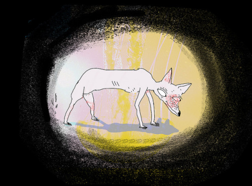 esobvio:  roka by miss pony on Flickr. 