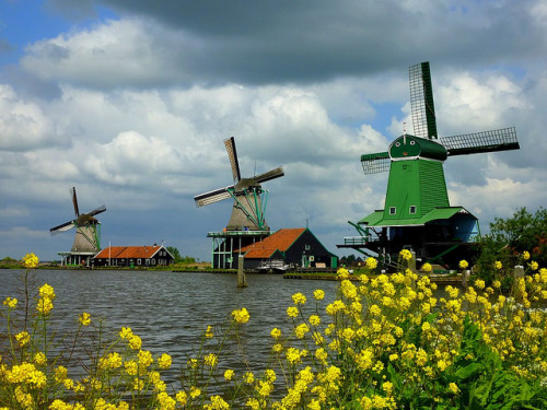 by frans.sellies on Flickr.Windmills in Zaandijk - The Netherlands.