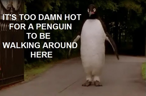 veronicles:  classic. 