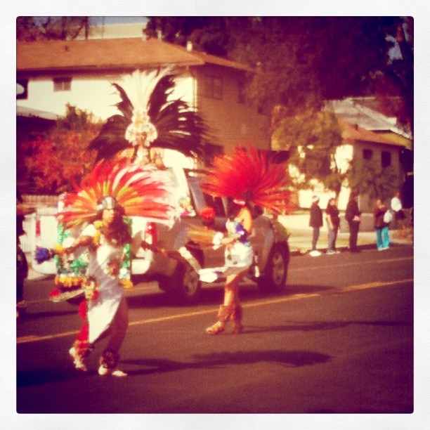 Backyard this morning&hellip; Woke up to marching drums&hellip; Huuuge parade