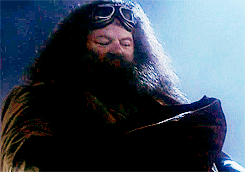 smeagoled:  That’s what always kept Hagrid safe. Because Hagrid actually would’ve been a natural to kill in some ways. But because I always cleaved to this mental image of Hagrid being the one carrying Harry out and that was so perfect for me because