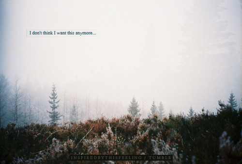 INSPIRED BY THIS FEELING