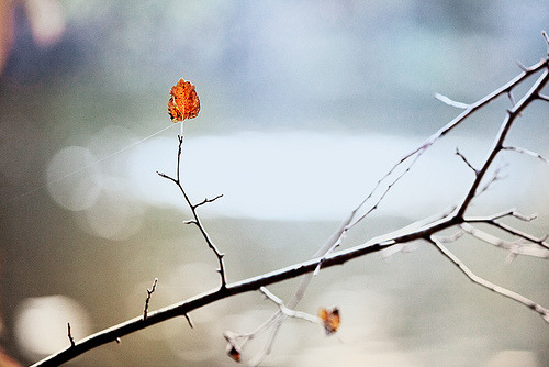 torace:  Hanging On (by Mute*)