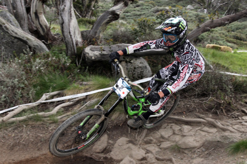 Troy Brosnan