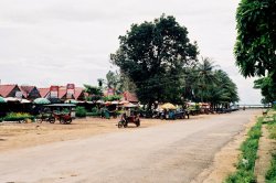 crab market