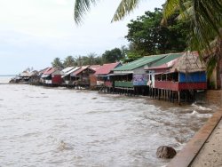 crab market