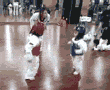 the-absolute-funniest-posts:  daily-tumbles:  Tiny tots taking Taekwondo.  [video] Following this blog will be the best thing you ever do   This is a cool blog to follow