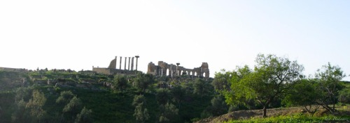 asenseofadventure: The Roman Ruins Volubilis is an archaeological site in Morocco featuring the bes