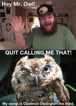 thefrogman:  Mr. Owl is very touchy. 