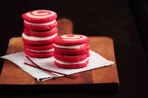 gastrogirl:  peppermint pinwheels. 