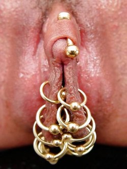 pussymodsgalore:  pussymodsgalore  Good sized clit with VCH, pierced inner labia with ten rings. It looks to me as if her outer labia have been removed. If so, this is a more extreme pussy mod than I usually find on here. Looks good! 