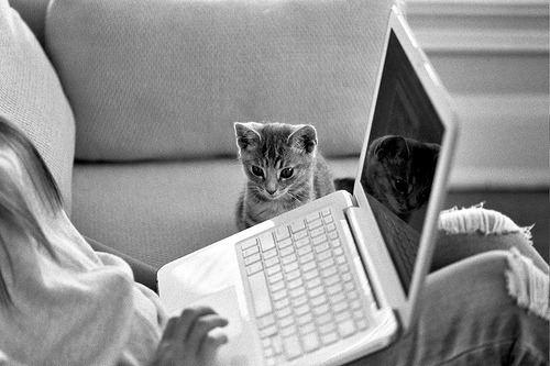 neekaisweird:  chillin’ (by *Cinnamon) 