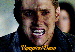 slavingpeoplesacrificingthings:  jaredbottoms:  All the different ‘characters’/variations of Dean Jensen has played. [Sam]    Also:       i think we all know which one’s our favourites 