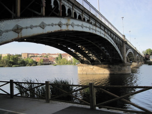 (Salamanca, 10/07/11)
