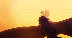 iamveiders:  How to Train your Dragon 