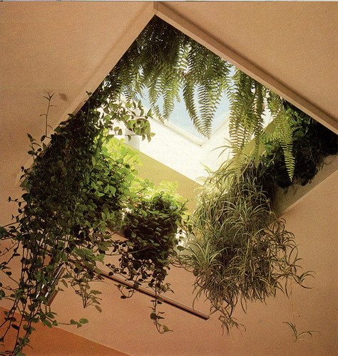 zincs:  stephen eichhorn 