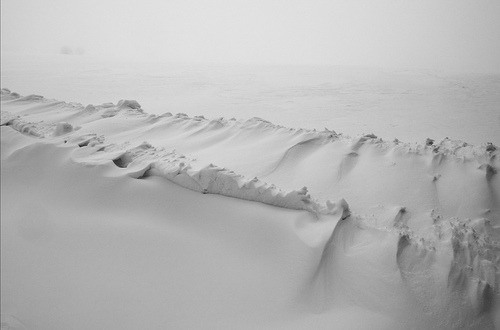 lamkatarina:  source 