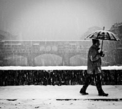 firsttimeuser:  Under the snow! by Arianna