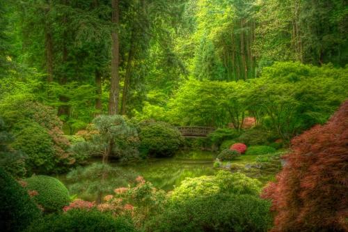sav3mys0ul:  Japanese Garden 1, garden uploaded by Chauncey Gardner  That’s.. green.
