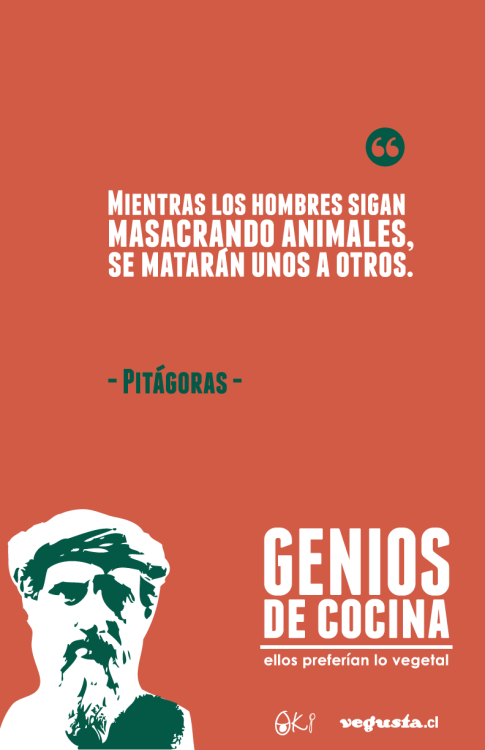 veginning:  Con los colores de los vegetales @vegusta lanza campaña: GENIOS DE COCINA