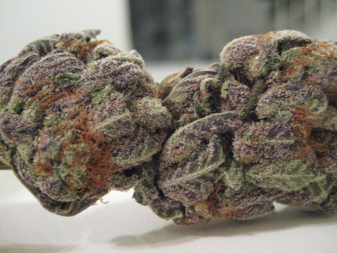 thatsgoodweed:  Indica Dominant 