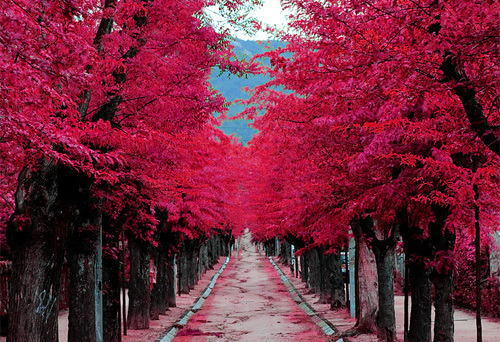 amarefeles.tumblr.com/post/14877256098/