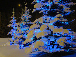 OKAY NO BLUE CHRISTMAS LIGHTS ARE THE UGLIEST THINGS I&rsquo;VE EVER SEEN IN MY LIFE THEY MAKE YOUR YARD LOOK LIKE A GIANT BUGZAPPER 