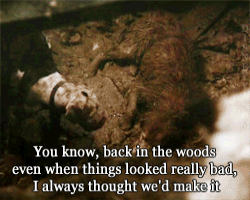 zombiekookie:  w3areinfinite:  If this were humans I’d be like “meh, they’ll