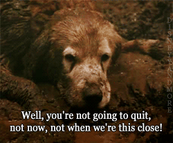 zombiekookie:  w3areinfinite:  If this were humans I’d be like “meh, they’ll