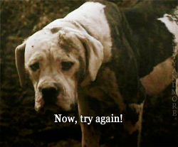 zombiekookie:  w3areinfinite:  If this were humans I’d be like “meh, they’ll