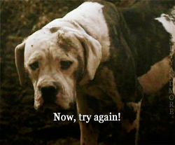 zombiekookie:  w3areinfinite:  If this were humans I’d be like “meh, they’ll get over it”, but it’s fucking dogs. LOOK HOW SAD THEY ARE. Le cry.  Fucking love this movie!! 