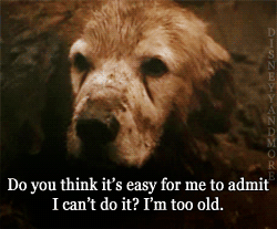 zombiekookie:  w3areinfinite:  If this were humans I’d be like “meh, they’ll